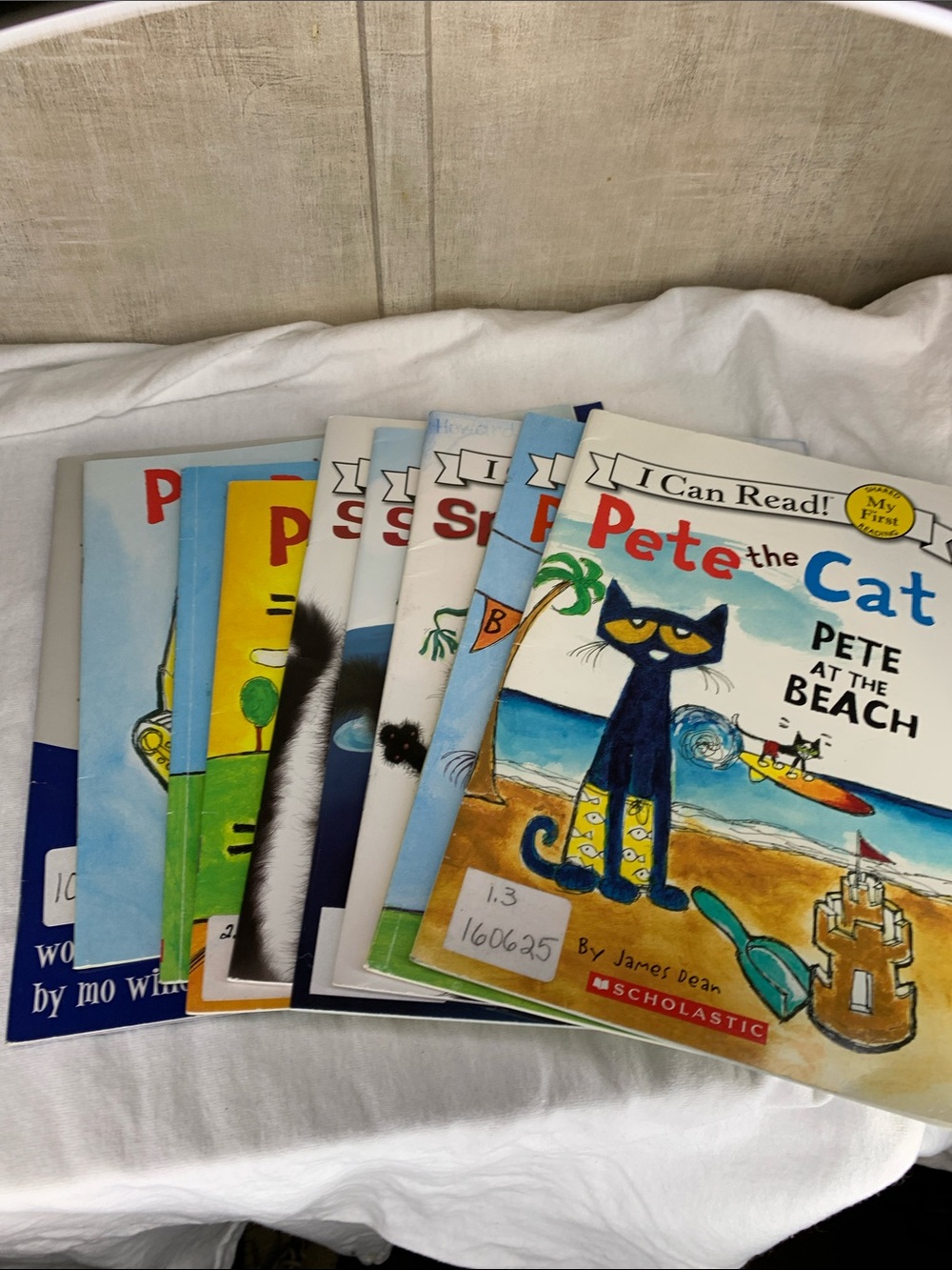 Scholastic Pete the Cat Book Bundle
